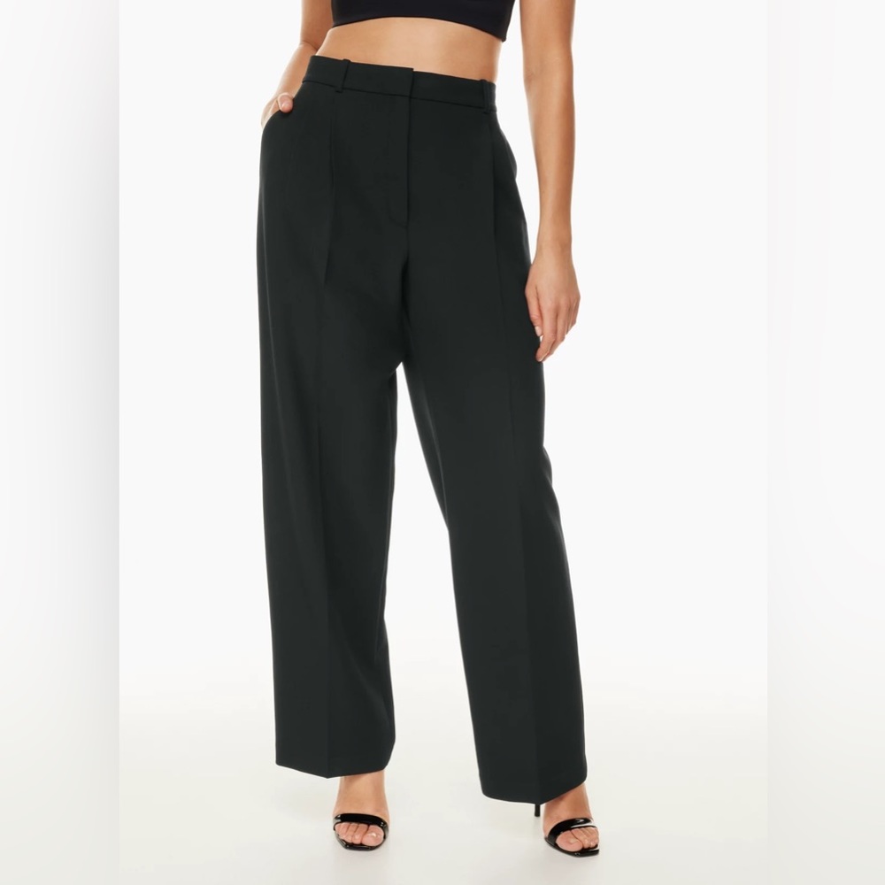 Aritzia | Babaton Pleated Pant